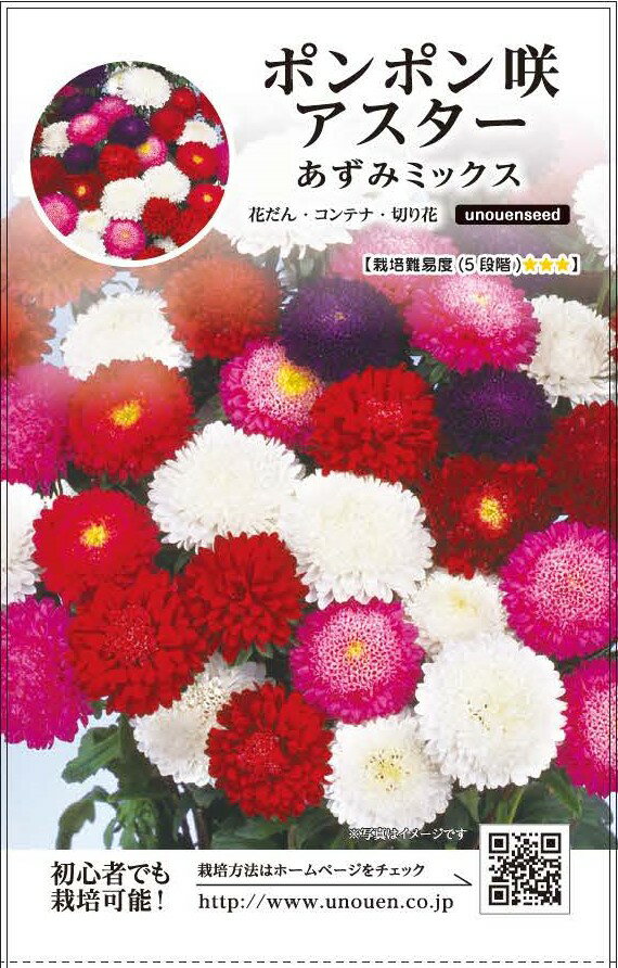 【ポンポン咲アスターあずみミックス】種　アスター　種子　花　春・秋まき　草花　タネ　あずみ　ミックス　ポンポン咲きアスター　ボリューム感抜群の大輪　サカタのタネ　切り花　鉢植え　花壇　ガーデニング　家庭菜園　宇都宮農園　たね