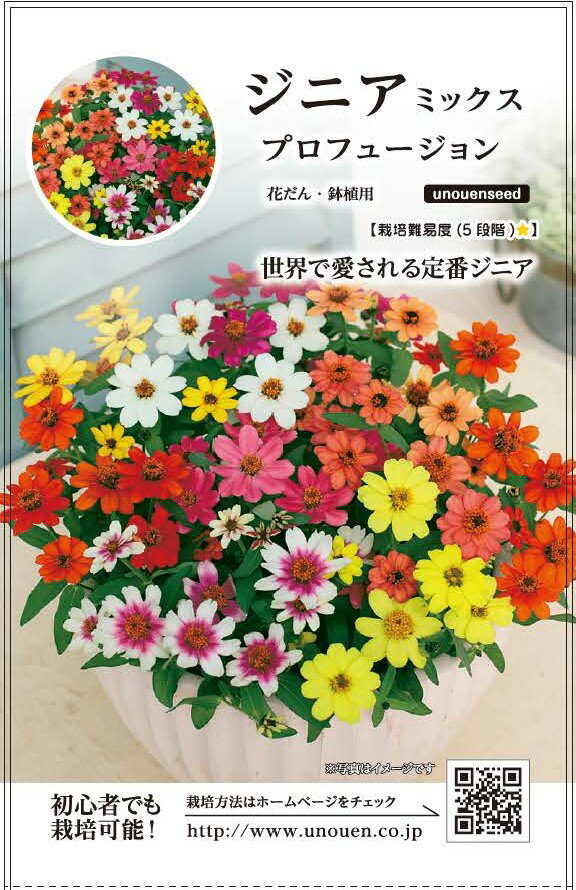 【ジニアミックス　プロフュージョン】種　ジニア　種子　花　春まき　草花　タネ　ジニア　プロフュージョン　ミックス　百日草　丈夫で育てやすい　サカタのタネ　花壇　鉢植え　ガーデニング　家庭菜園　宇都宮農園　たね