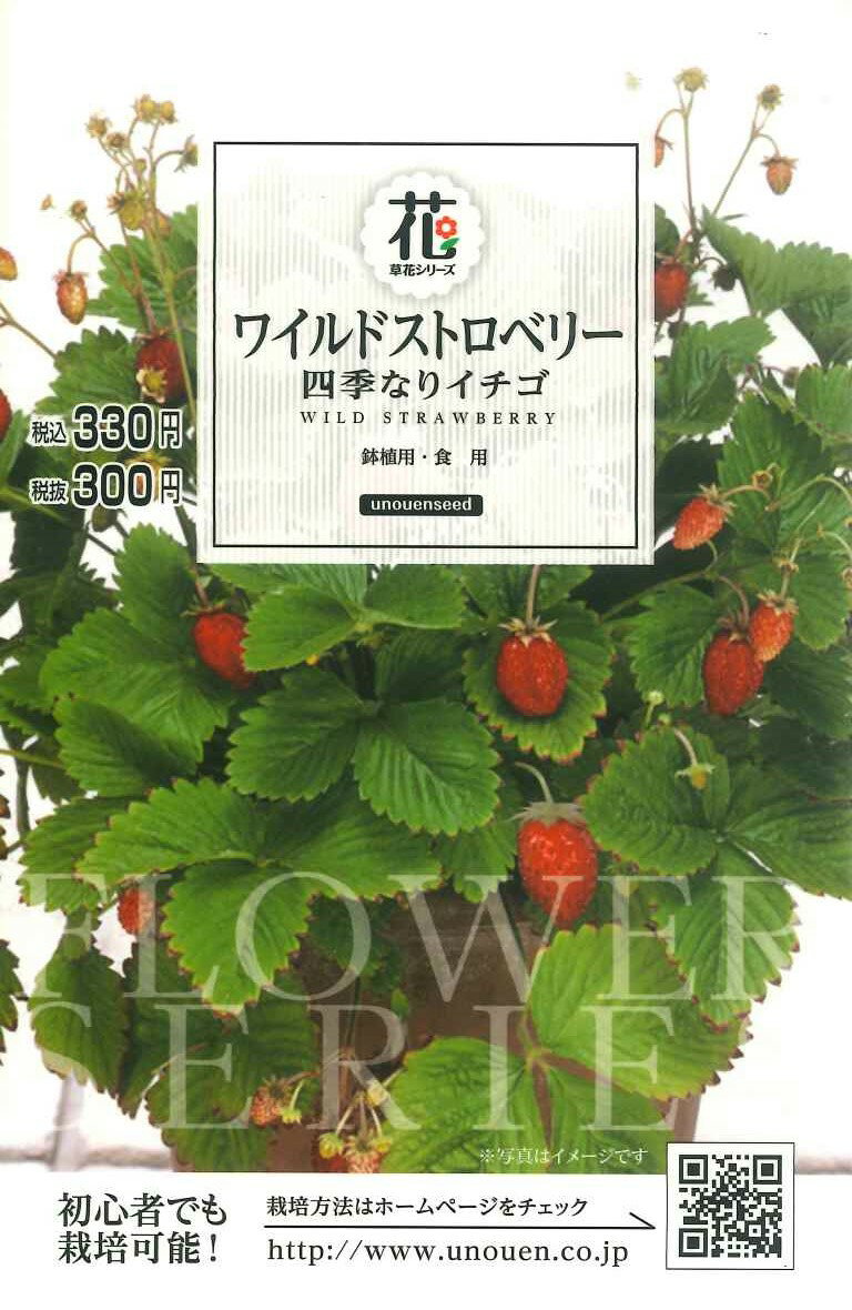 種　四季なりいちご　ワイルドストロベリー　種子　春・秋まき　花　タネ　草花　サカタのタネ　花壇　コンテナ　鉢植え　鉢いちご　ガーデニング　家庭菜園　宇都宮農園　たね