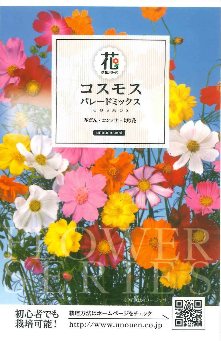 種　コスモス　種子　春・秋まき　花　タネ　草花　コスモスパレード　色彩豊かでボリュームたっぷり　サカタのタネ　花壇　コンテナ　切り花　ガーデニング　家庭菜園　宇都宮農園　たね