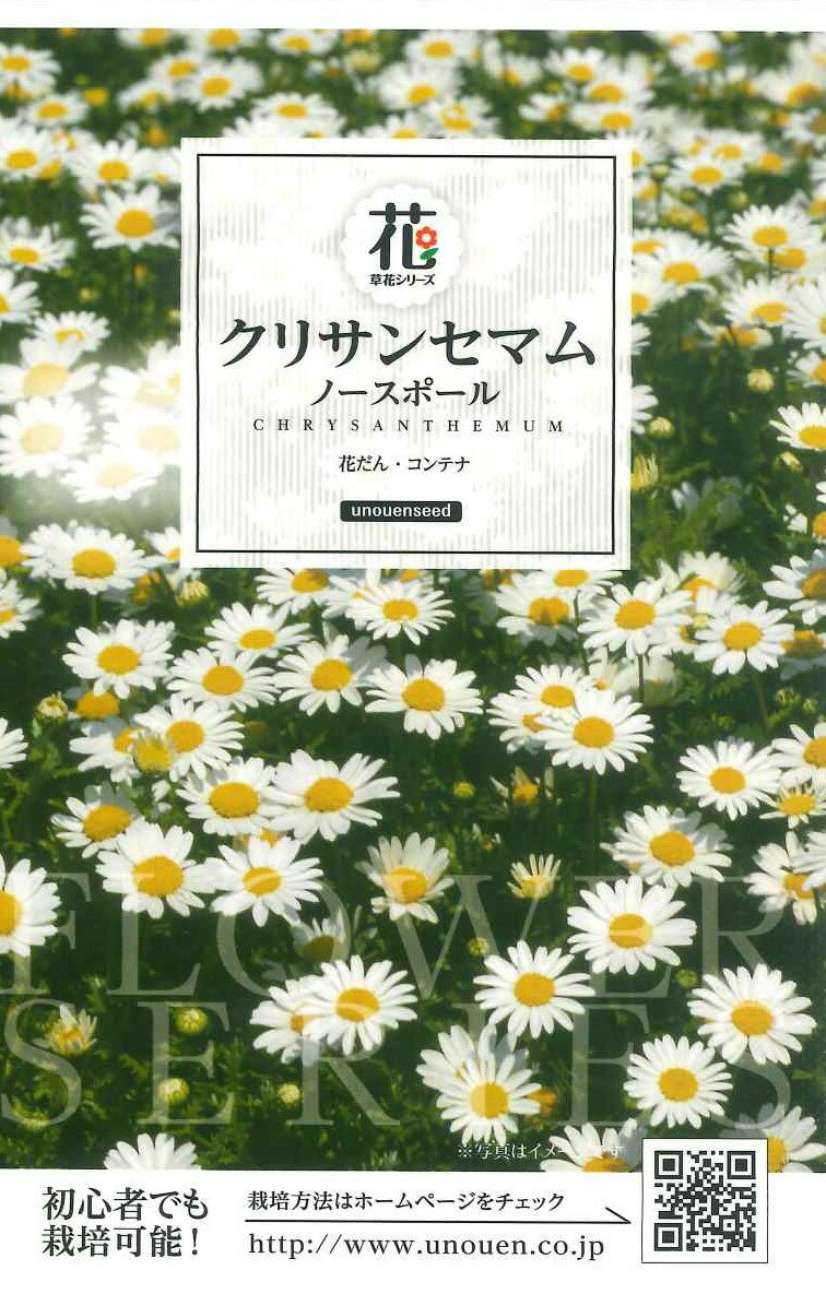 種　クリサンセマム　種子　春・秋まき　花　タネ　草花　ノースポール　サカタのタネ　丈夫で育てやすい　寒さに強い　花壇　コンテナ　ガーデニング　家庭菜園　宇都宮農園　たね