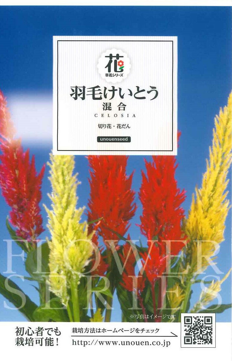 種　ケイトウ　種子　春まき　花　タネ　草花　センチュリーミックス　サカタのタネ　花壇　コンテナ　切り花　花壇　ガーデニング　家庭菜園　宇都宮農園　たね