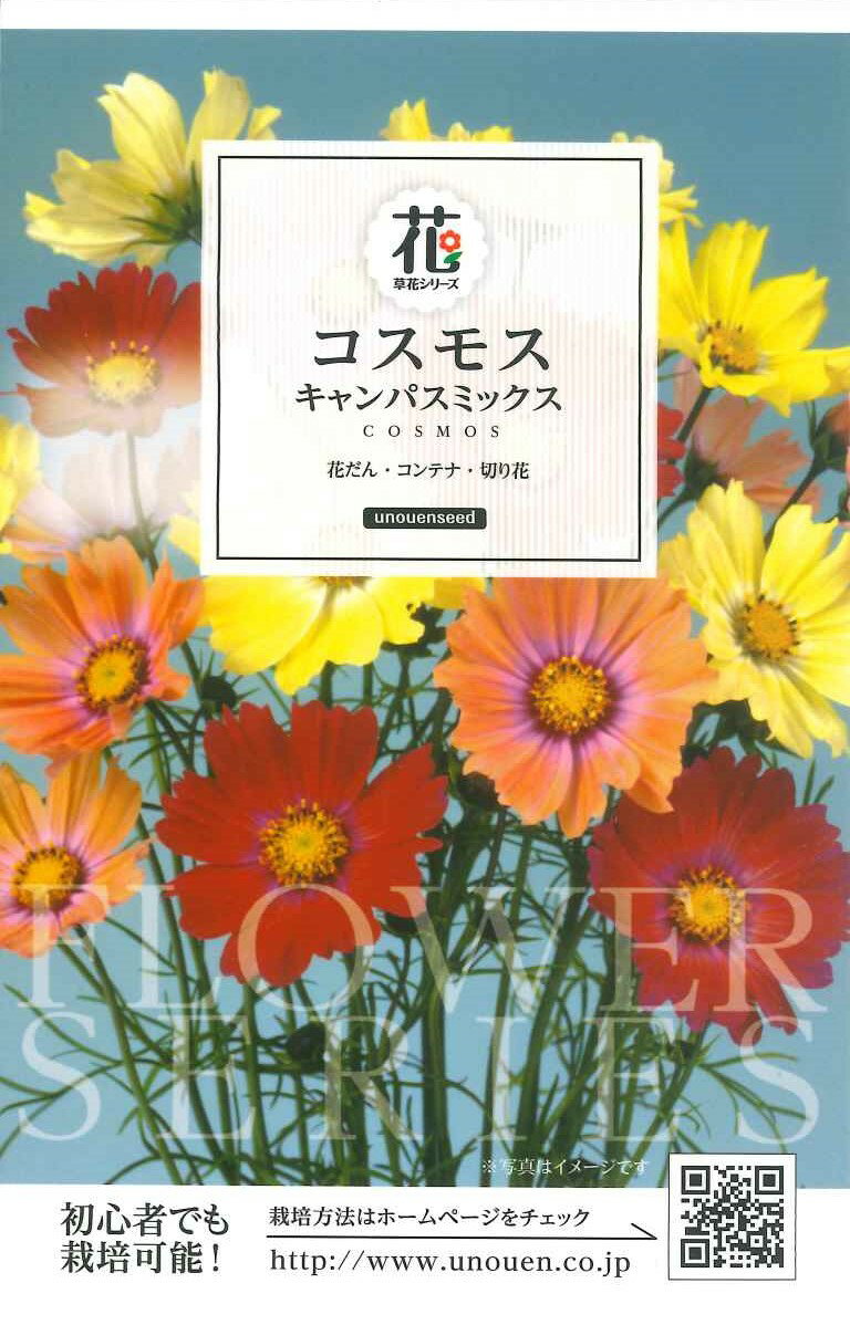 種　コスモス　種子　花　タネ　草花　キャンパス　サカタのタネ　オレンジとイエローのさわやかな色彩　切り花　花壇　コンテナ　ガーデニング　家庭菜園　宇都宮農園　たね