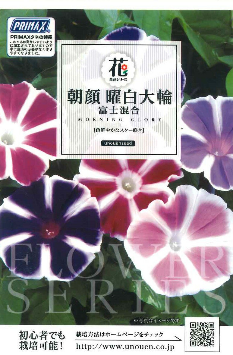 【朝顔曜白大輪 富士混合】種　あさがお　種子　花　春まき　草花　タネ　朝顔富士の混合　サカタのタネ　コントラストが美しい星咲き大輪朝顔　花壇　コンテナ　プランター　ガーデニング　家庭菜園　宇都宮農園　たね