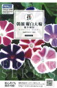 種　あさがお　種子　花　春まき　草花　タネ　朝顔富士の混合　サカタのタネ　コントラストが美しい星咲き大輪朝顔　花壇　コンテナ　プランター　ガーデニング　家庭菜園　宇都宮農園　たね