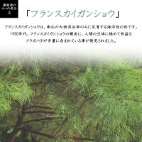 運龍源(うんりゅうげん)エイセニア配合三七人参配合健康美容