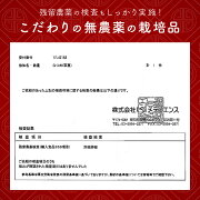 【ウイグル自治区一級品】なつめナツメ棗夏芽乾燥なつめ乾燥ナツメおやつドライフルーツフルーツ健康食品健康美容薬膳食材薬膳料理