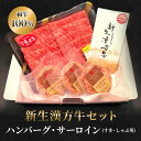 サーロイン 牛肉【サーロインすきしゃぶ ハンバーグ セット】和牛 牛肉 すき焼き しゃぶしゃぶ ハンバーグ サーロイン 肉 セット サーロインすきしゃぶ 和牛 ...