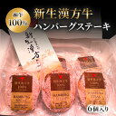ハンバーグ【ハンバーグ 6個入 セット】和牛 高級和牛 ハンバーグ 牛肉 肉 セット 高級和牛ハンバーグ 和牛ハンバーグ 和牛セット 牛肉 和牛 肉セット 和牛...