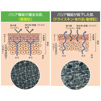 救肌麗薬用全身ローション【乳液】