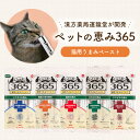 猫 フード 国産 無添加 【ペットの恵み365 猫用うまみペースト 10g×4本入】薬剤師監修 猫 おやつ 和漢素材 配合 国産 鶏むね肉 魚 下部尿路 皮膚 ...