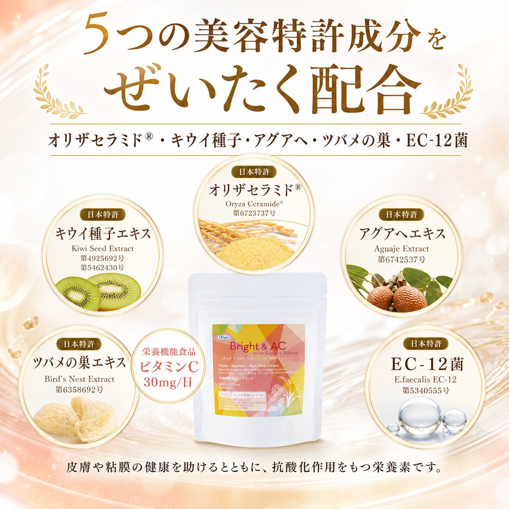 インナーサポートタブレット Bright & AC 60粒 美容サプリ インナーケア 飲む美容 オリザセラミド キウイ種子 アグアヘ ツバメの巣 ビタミンC 亜鉛 EC-12菌 栄養機能食品 国内GMP 日本製 送料無料 ギフト プレゼント 運龍堂 unryudo-10000156 運龍堂 楽天市場店 サンプル画像2