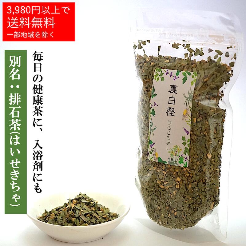 裏白樫茶 ウラジロガシ 乾燥 お茶 【80g】日本製 国産 