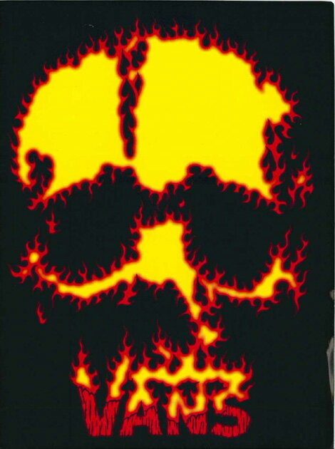 【メール便対応】 新作 VANS SKULL FIRE 入荷!