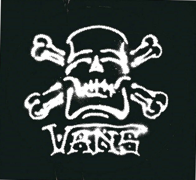 【メール便対応】 VANS SKULL 入荷!