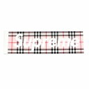 Supreme シュプリーム Burberry BOX LOGO STICKER ス