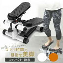 ミニステッパー ステップマシン フィトネスマシン ステッパー ダイエット 器具 足踏み ツイスト 有酸素運動 足 腰 脚 踏み台昇降運動 踏み台運動 ながらダイエット 小型ステッパー 自宅 マンション ジム 脚やせ(4)