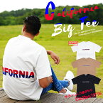 21夏新作 サガラ 刺繍 CARIFORNIA サーフTシャツ 半袖 BIG Tシャツ カットソー 【2万円以上お買い上げで Ron Herman ロンハーマン ミニタオル プレゼント！】 ユニセックス メンズ レディース ゆったりTシャツ 柄T サーフ系 夏 夏服