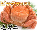 毛ガニでこの大きさなら食べ応え満点！繊細なあま?い...