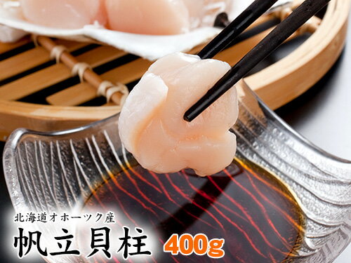 ホタテプリプリの食感と甘味が魅力!オホーツク産帆立貝柱500g!