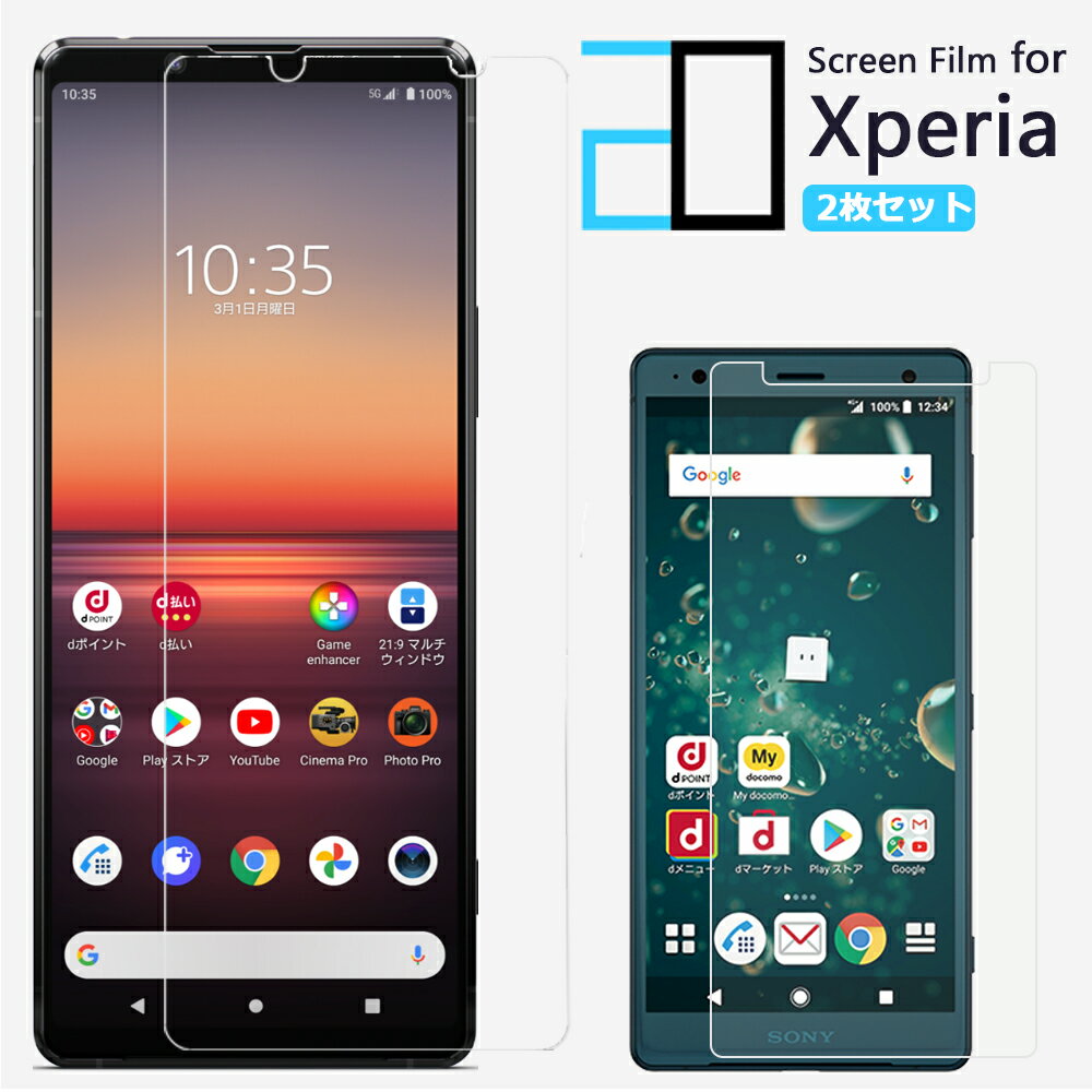 【2枚セット】Xperia 10 VI PDX-246 保護