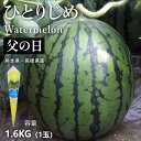 【父の日ギフト】フルーツ 長崎・熊本産 ひとりじめ小玉スイカ (造花バラ付き) - ひとりじめしたくなる美味しさ 小玉スイカひとりじめ 約1.6kg(1玉) 感謝 プレゼント 果物ギフト すいか ヒトリジメ プレゼント 果物ギフト 冷蔵配送(4)