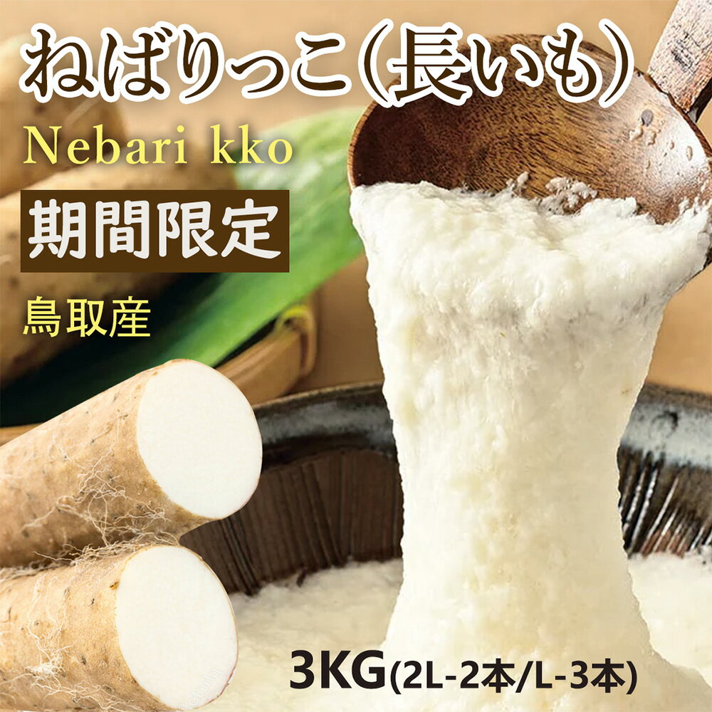 【鳥取県産 長いも】ねばりっこ（長いも）3kg（2L2本かL3本） 高級百貨店陳列野菜 プロが選んだ生産者様にこだわった新鮮野菜 鳥取県産 ながいも こだわり農家が丹精込めて育てた 濃厚な粘りと上品な甘みが自慢 鳥取県産「ねばりっこ（長いも）」長芋 ナガイモのサムネイル
