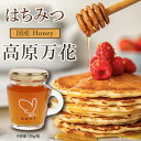 はちみつ 国産 天然 広島県産 非加熱 無添加 ハチミツ 「高原万花」120g×1瓶 (計120g) 標高の高い高原で採蜜された特別な蜂蜜 [ 自然のまま瓶詰さ...