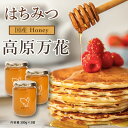 はちみつ 国産 天然 広島県産 非加熱 無添加 ハチミツ 「高原万花」300g×3瓶 (計900g) 標高の高い高原で採蜜された特別な蜂蜜 [ 自然のまま瓶詰さ...