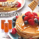 はちみつ 国産 天然 広島県産 非加熱 無添加 ハチミツ 「里山の香り」200g×2本 600g (ワンタッチボトル3本) 標高の高い高原で採蜜された特別な蜂蜜...