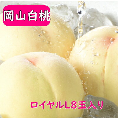 岡山白桃ロイヤルL8玉（8月上旬〜8月20日頃発送） 白桃 岡山 momo 白桃岡山 桃 お中元 光センサー 岡山産 岡山ブランド 白麗 瀬戸内白桃 おかやま夢白桃 プレミアムロイヤルのサムネイル