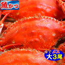 商品画像2