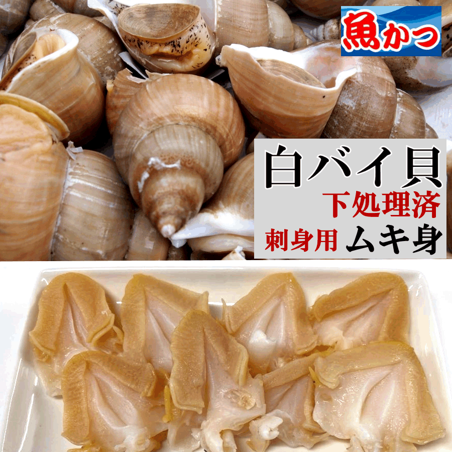 人気 おすすめ 日用品 マルヨ食品　味付ばい貝45粒(58サイズ)　600g×10個　05230 おしゃれ ショップ 楽天 快気祝い