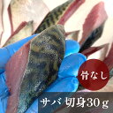 さば 切り身 30g 10切 骨なし魚 約300g 冷凍 魚 サバ 海鮮 3枚卸 国内産 冷凍庫に常備 新鮮 天然 さかな 無塩 切る手間不要 カット済 冷凍 ...
