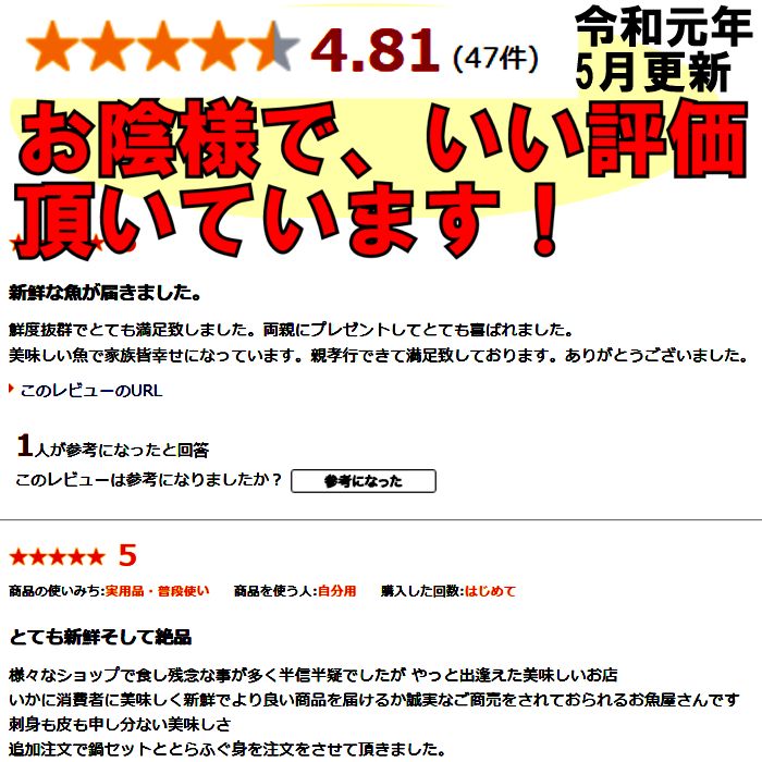 冷蔵 ふぐ刺し ふぐ セットとらふぐ たっぷり2人前ふぐ刺身 トラフグ てっさ 魚 さしみフグ 活き締め 河豚 刺し身 ふぐ料理セットフグ刺身 山口県 送料無料寿司ネタ