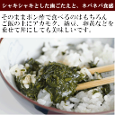 アカモク 冷凍上質 山口県産使いきり あかもく 便利 小分け送料無料 約30gX18個セットぎばさ 湯通し 刻み 加工 済美味しさ 粘り 海藻 天然 ギバサ 健康食品 3