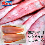 赤舌平目（アカシタビラメ）レンチョウ 中サイズ300g(2尾入）鮮魚 海鮮 お取り寄せグルメしたびらめ、舌鮃鮮魚 直送 魚 下処理 冷凍2人前 2尾入 うべ 地魚