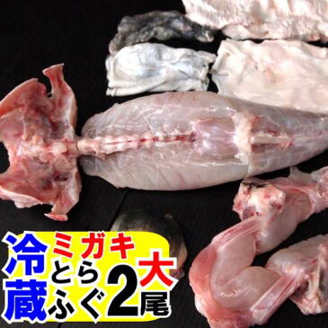 とらふぐみがき（身欠き）とらふぐ2尾セット【ふぐ料理セット】にひれ酒用【ふぐひれ付】送料無料【ふぐ刺し】【ふぐ唐揚げ】フグの王様トラフグ【てっさ】【てっちり】【ふぐ鍋】【ふぐちり】