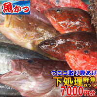 下処理 鮮魚セット美味しい 魚 お取り寄せ　7000円分寿司 煮付け 焼き魚 刺身 鮮魚セット魚 鮮魚 詰め合わせお刺身 鮮魚 直送 送料無料海鮮セット 海鮮福袋 寿司ネタ