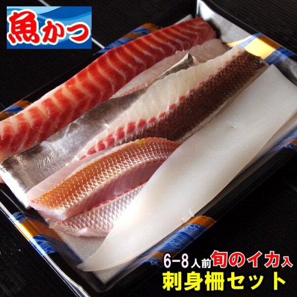 イカ刺身 みんな探してる人気モノ イカ刺身 イカ刺身 みんな探してる人気モノ イカ刺身