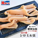 白みる貝 ムキミ 冷凍 刺身 冷凍 【凍眠】貝 刺身4人前刺し身 シロミル貝、白ミル貝お取り寄せグルメ 刺身海鮮 さしみ みる貝貝類 寿司ネタ 刺し身山口産 高級 貝 むきみ