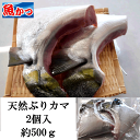 天然ブリ かま 約500g 冷凍山口産 鰤 カマぶりかま 大サイズ2個入海鮮 お取り寄せグルメ