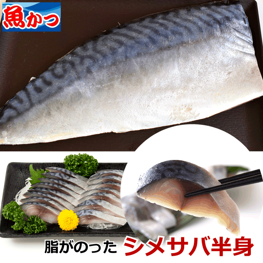 大トロ シメサバ 冷凍しめ 鯖 しめ