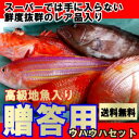 【贈答用】ウハウハ鮮魚セット【送料無料】【楽ギフ_のし】 - 山口県産海鮮広場 魚かつ