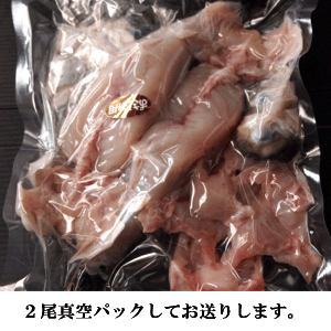 活き締め 冷蔵とらふぐ 身欠きお刺身用大サイズ2尾 セット【ふぐちり鍋】ふぐ刺し みがき ふぐふぐひれ ふぐ皮付ふぐ 冷蔵ふぐ刺身、ふぐ鍋 ふぐ あら送料無料ふぐ刺し 冷蔵 山口県