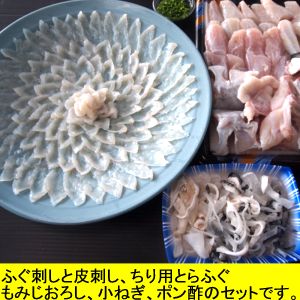 魚屋が作るふぐ刺したっぷりふぐ刺身4人前とらふぐ鍋セット【送料無料】【ふぐ料理】