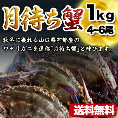 活〆ワタリガニオスメス問わず生小ー中約1kgガザミ(3-6尾）送料無料