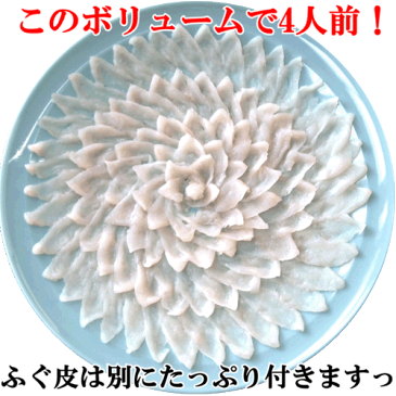 ふぐ刺身 たっぷり8人前活き締め トラフグお得な大皿2枚【ふぐ刺し】ふぐ セット 送料無料冷蔵 ふぐ料理セットてっさ とらふぐ