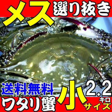 ワタリガニ メス選り抜き生小サイズ約2、2kg(8−10尾)送料無料わたりがに、渡り蟹、ガザミ
