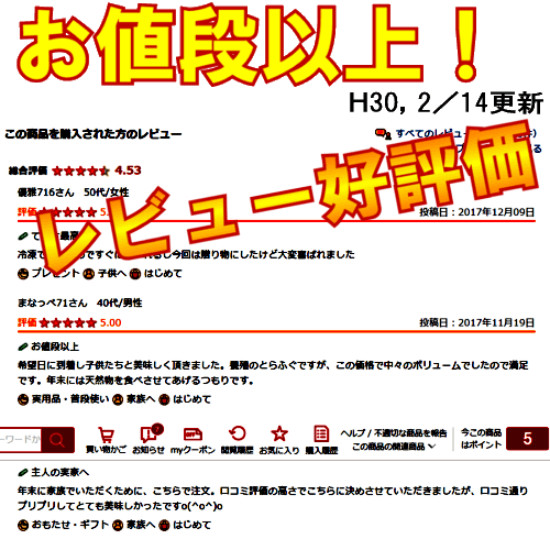 冷蔵 ふぐ刺し トラフグ てっさたっぷり4人前 とらふぐ刺身ふぐ セット 寿司ネタ さしみ魚屋が作る 活き締め ふぐ刺し身虎ふぐ ふぐ料理 送料無料 魚